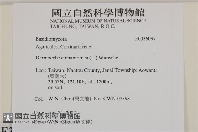 登錄號:F0036097藏品圖，第2張