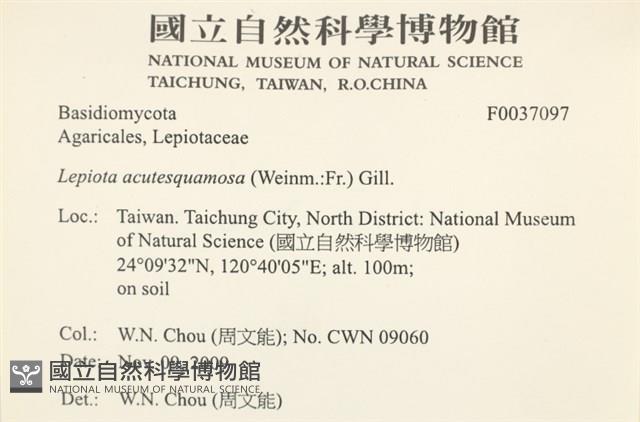 登錄號:F0037097藏品圖，第2張