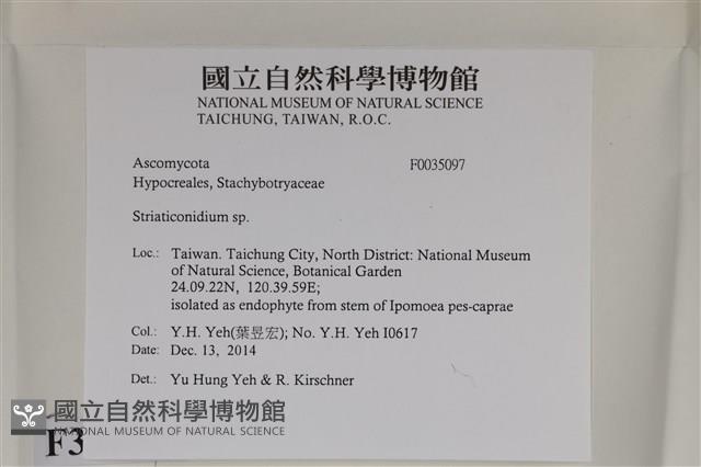 登錄號:F0035097藏品圖，第2張