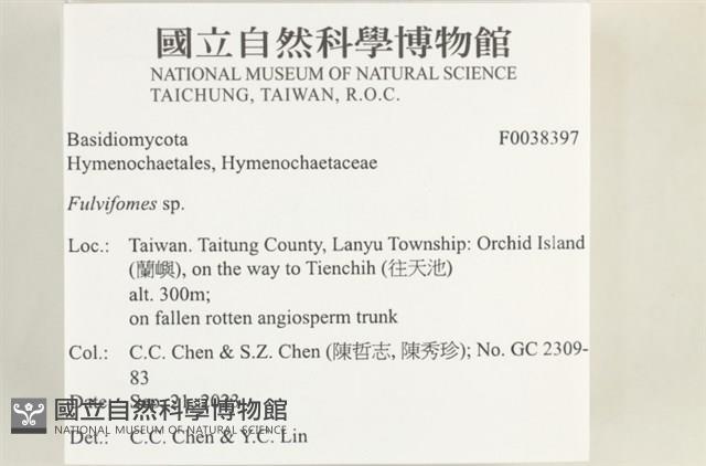 登錄號:F0038397藏品圖，第2張