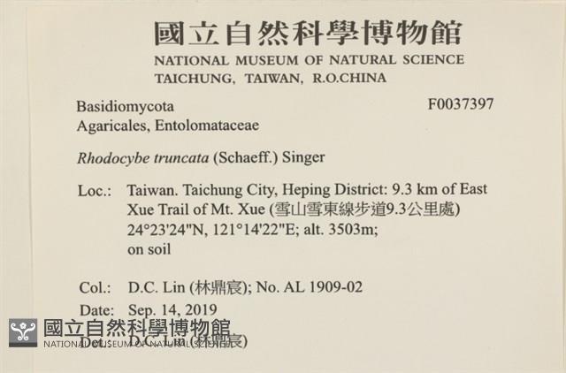 登錄號:F0037397藏品圖，第2張