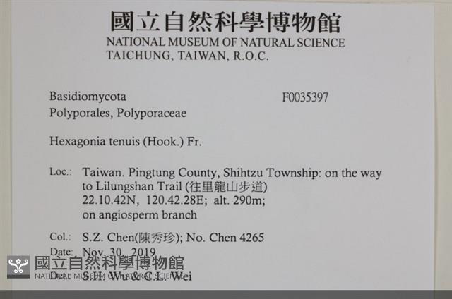 登錄號:F0035397藏品圖，第2張