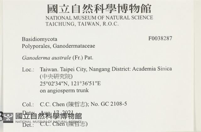 登錄號:F0038287藏品圖，第2張