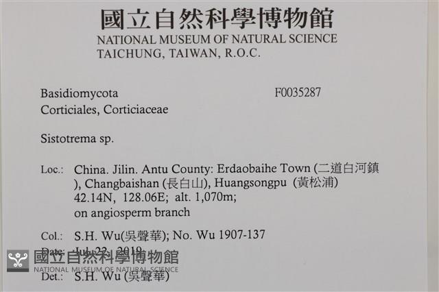 登錄號:F0035287藏品圖，第2張