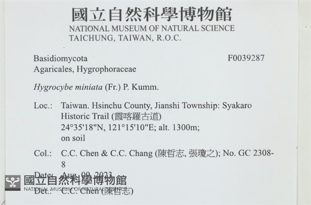 登錄號:F0039287藏品圖，第1張