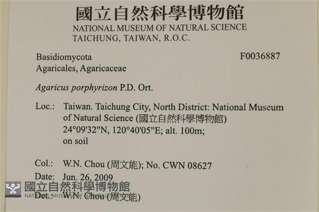 登錄號:F0036887藏品圖，第2張