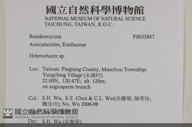 刺皮菌屬藏品圖，第2張