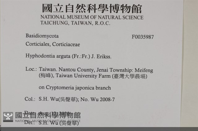 登錄號:F0035987藏品圖，第2張
