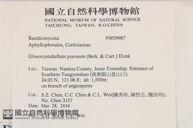 登錄號:F0029987藏品圖，第2張