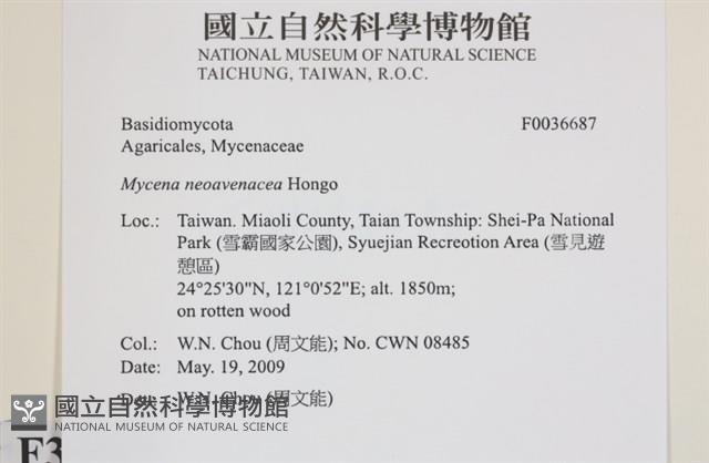 登錄號:F0036687藏品圖，第2張