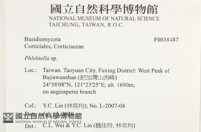 登錄號:F0038487藏品圖，第2張