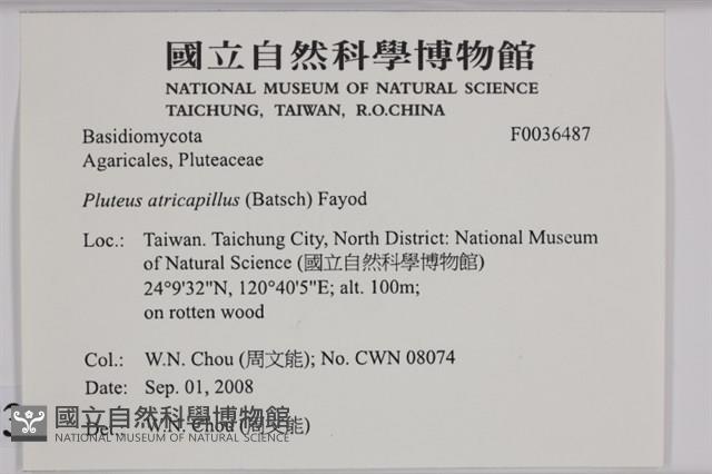 登錄號:F0036487藏品圖，第2張