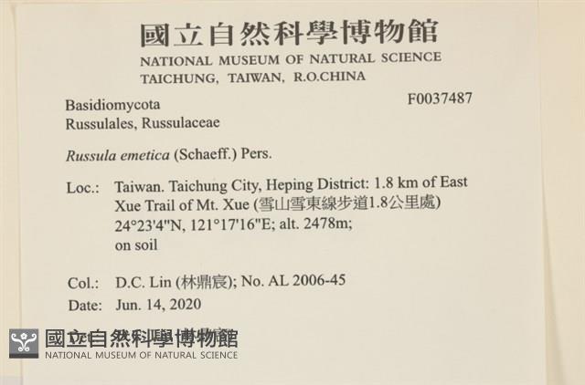 登錄號:F0037487藏品圖，第2張