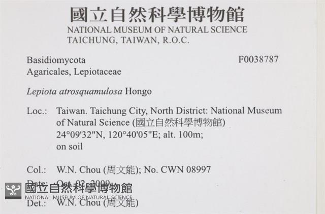 登錄號:F0038787藏品圖，第2張