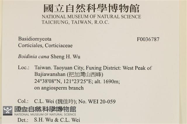 登錄號:F0036787藏品圖，第2張