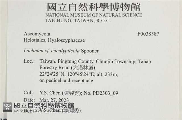 登錄號:F0038587藏品圖，第2張