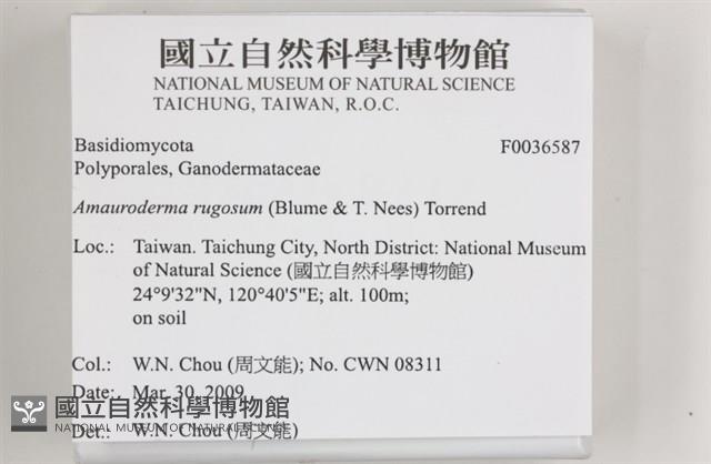 登錄號:F0036587藏品圖，第2張