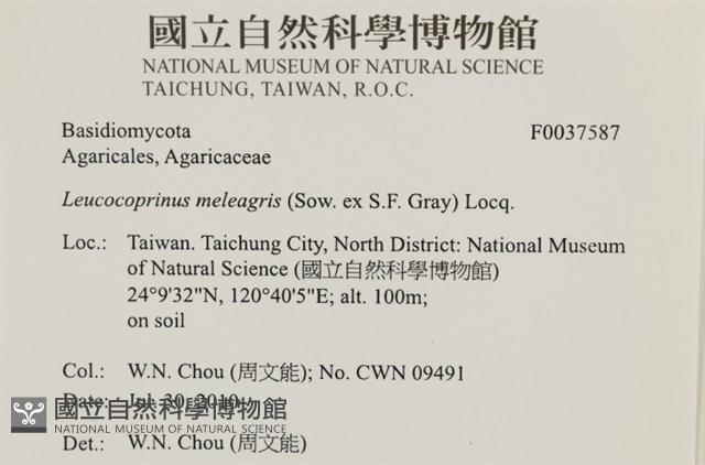 登錄號:F0037587藏品圖，第2張
