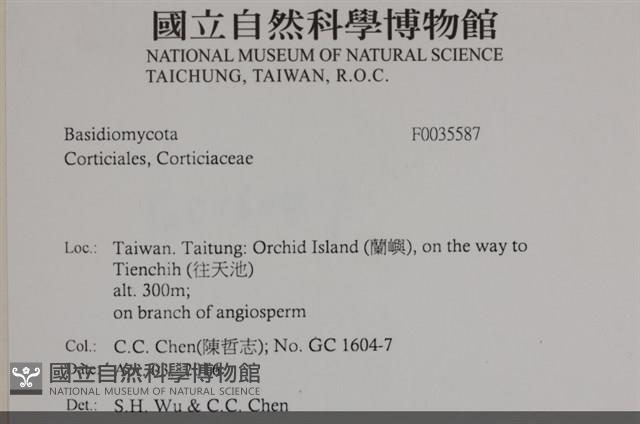 登錄號:F0035587藏品圖，第2張