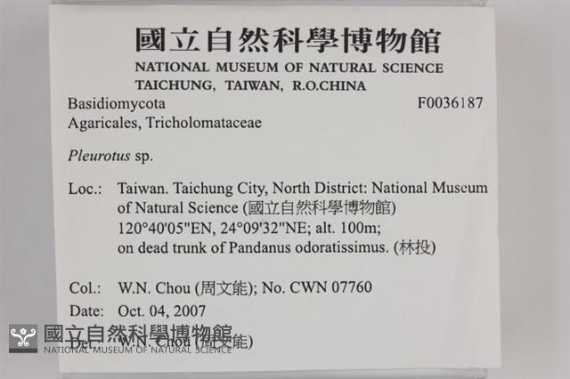 登錄號:F0036187藏品圖，第2張