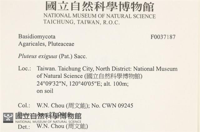 登錄號:F0037187藏品圖，第2張