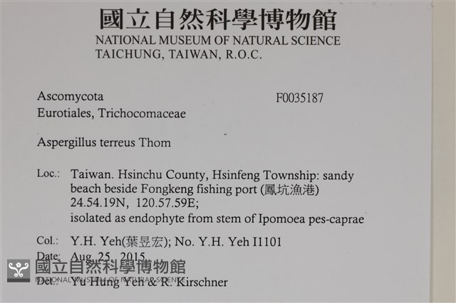 登錄號:F0035187藏品圖，第2張
