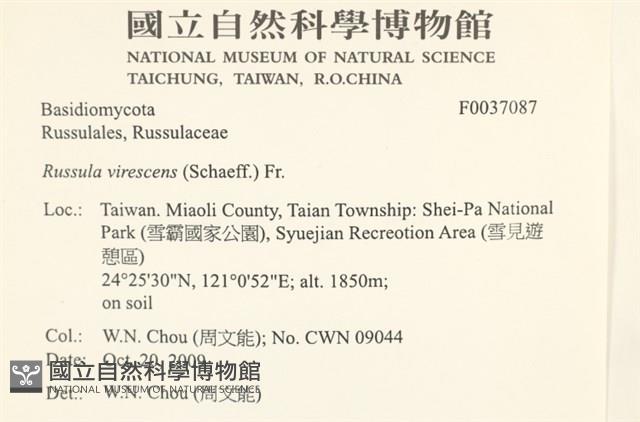 登錄號:F0037087藏品圖，第2張