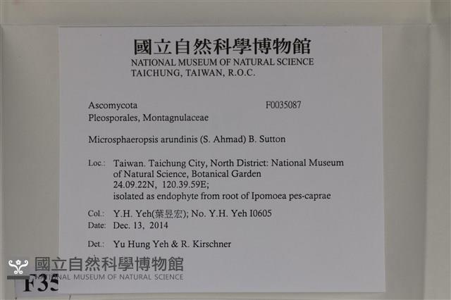 登錄號:F0035087藏品圖，第2張