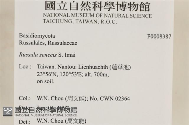 登錄號:F0008387藏品圖，第7張