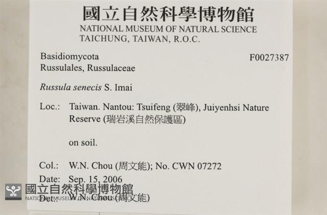 登錄號:F0017387藏品圖，第7張