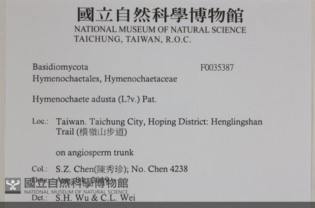 登錄號:F0035387藏品圖，第2張