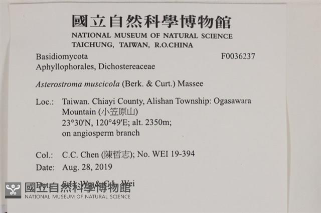 登錄號:F0036237藏品圖，第2張