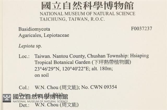 登錄號:F0037237藏品圖，第2張