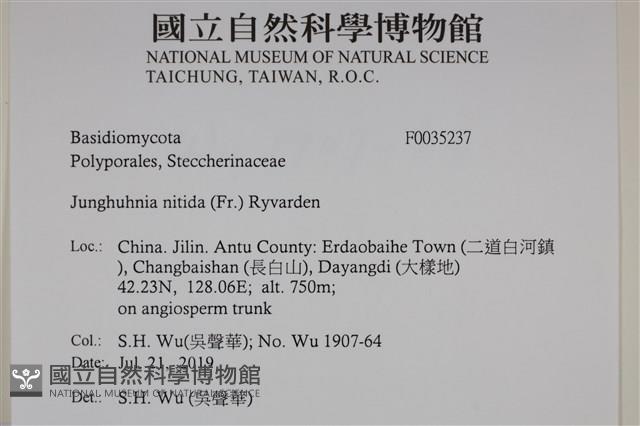 登錄號:F0035237藏品圖，第2張