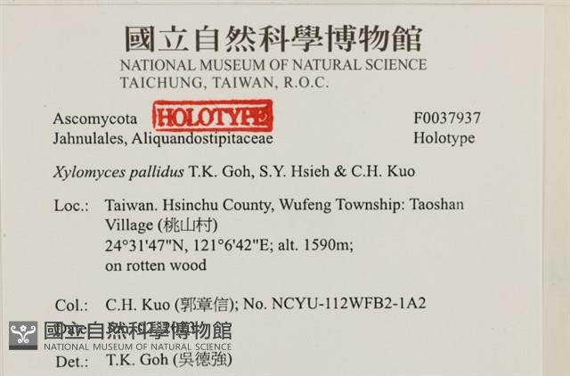 登錄號:F0037937藏品圖，第2張