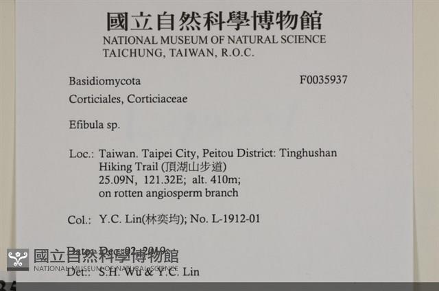 登錄號:F0035937藏品圖，第2張