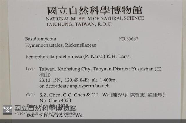 登錄號:F0035637藏品圖，第2張