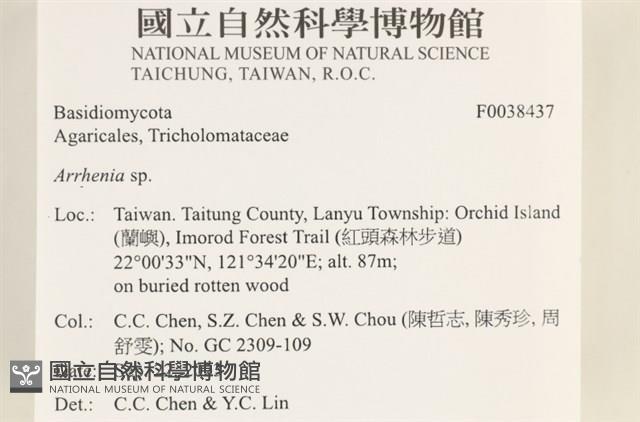 登錄號:F0038437藏品圖，第2張