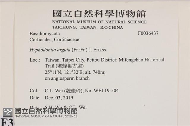 登錄號:F0036437藏品圖，第2張