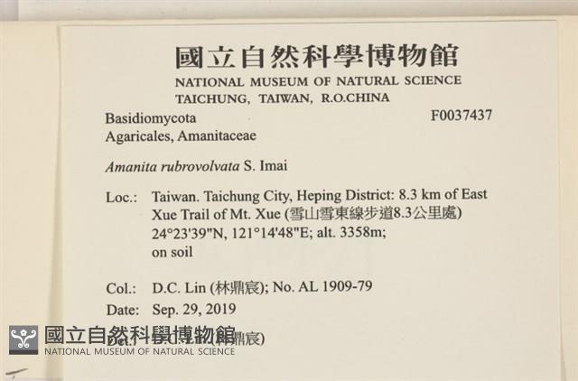 登錄號:F0037437藏品圖，第2張