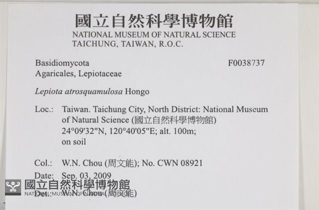 登錄號:F0038737藏品圖，第2張