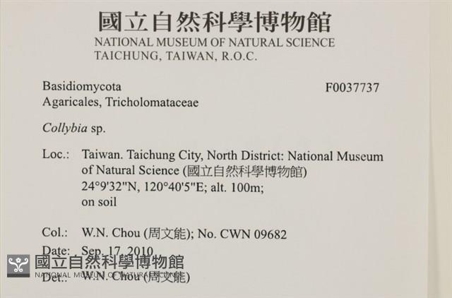 登錄號:F0037737藏品圖，第2張
