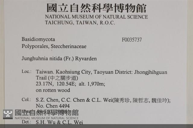 登錄號:F0035737藏品圖，第2張