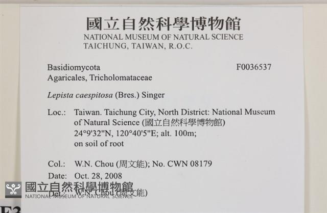 登錄號:F0036537藏品圖，第2張