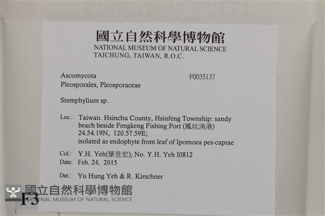 登錄號:F0035137藏品圖，第2張