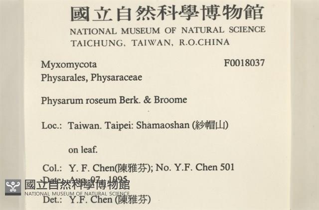 登錄號:F0018037藏品圖，第2張