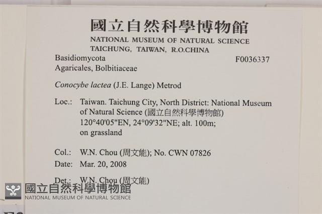 登錄號:F0036337藏品圖，第2張