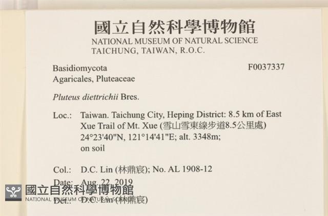 登錄號:F0037337藏品圖，第2張
