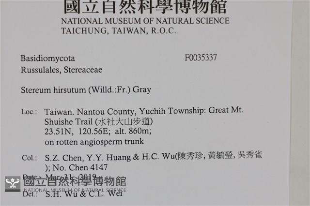 登錄號:F0035337藏品圖，第2張