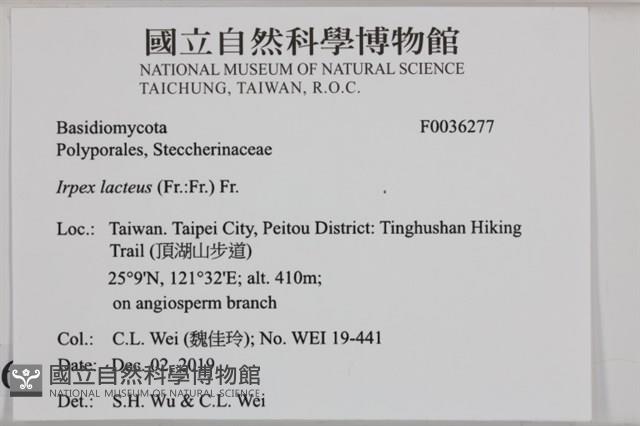 登錄號:F0036277藏品圖，第2張